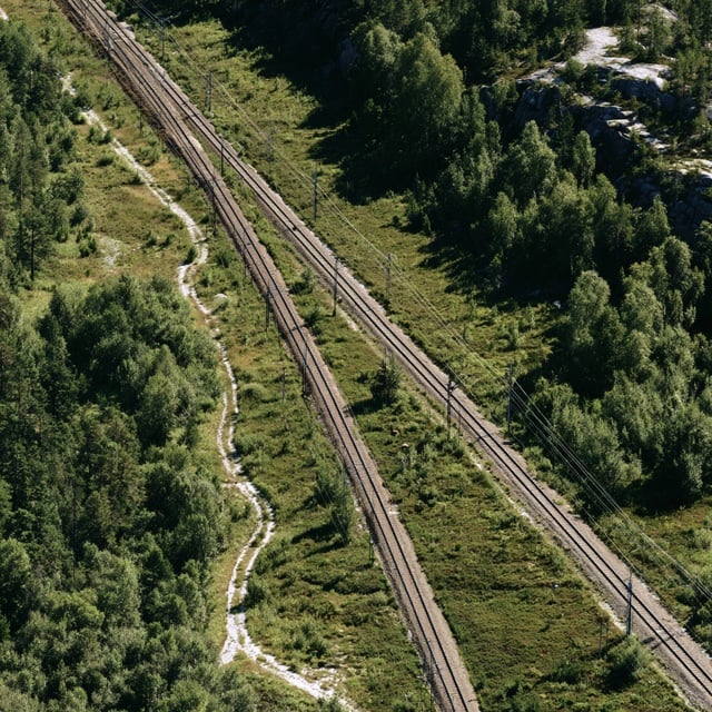 Railway tracks running through forest, seen from above